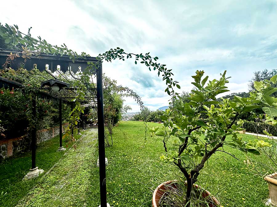 giardino02