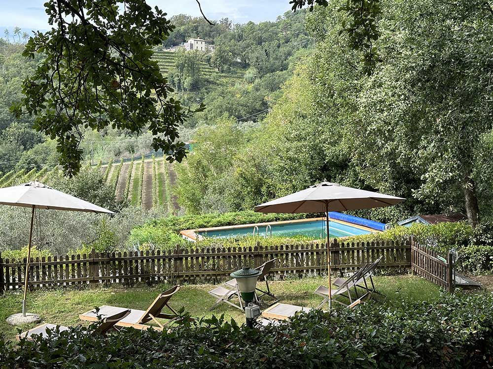 piscina